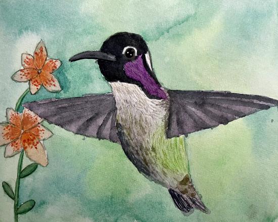 images/02 (cover).jpg